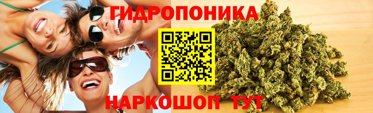 Конопля MAZAR  Вход с VPN  Гурьевск  Бошки Шишки планчик 